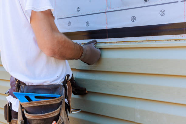 Affordable Siding Repair solutions in Roanoke, IL