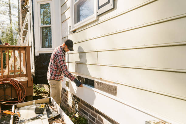 Top rated local Siding Repair specialists in Roanoke, IL